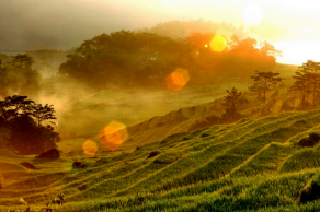 Hidden Rural Life In Pu Bin 2 Days 1 Night
