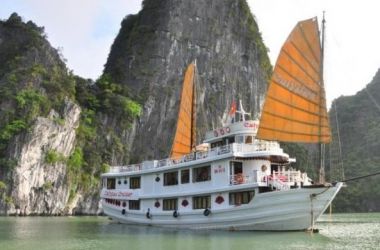 Calypso Cruiser