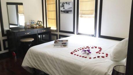  Amira Suite