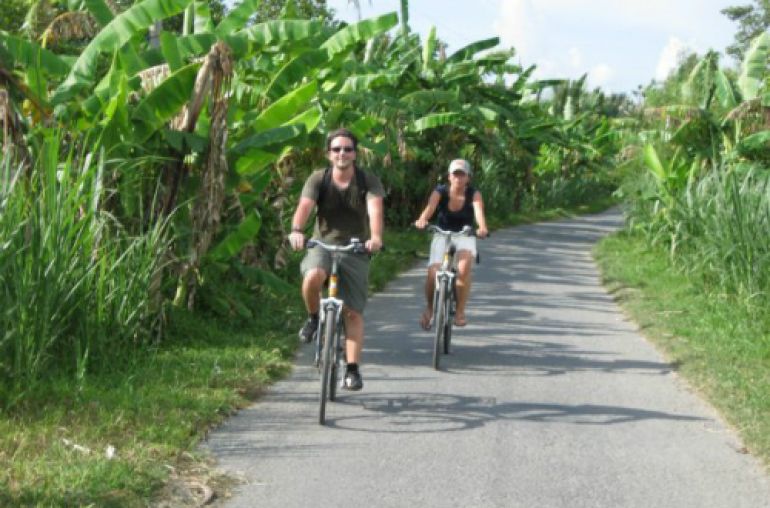 WBicycleriding1447548328
