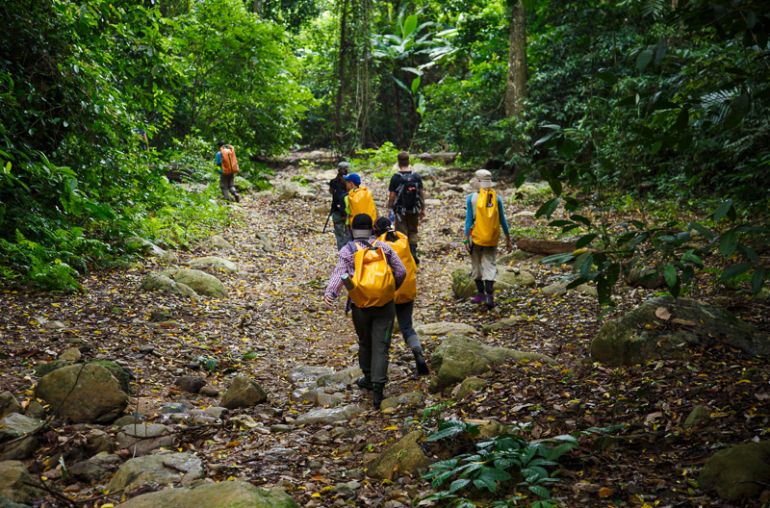 Phong-Nha-National-Park-Trekking