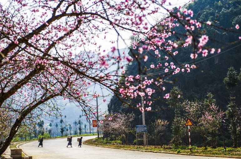 ng-Văn---Mèo-Vạc