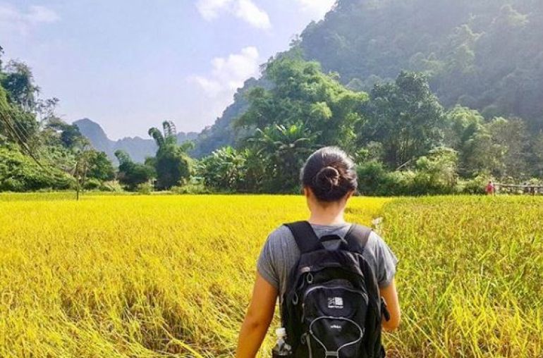 Ba-Be-Rice-Field