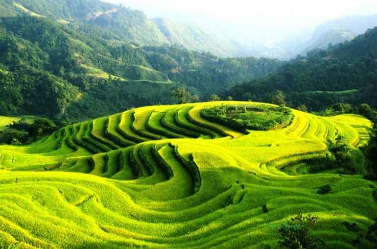 Hoang-Su-Phi