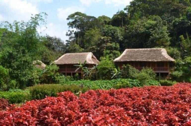 Pan Hou Village
