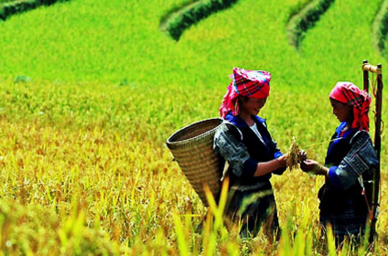 Ha Giang