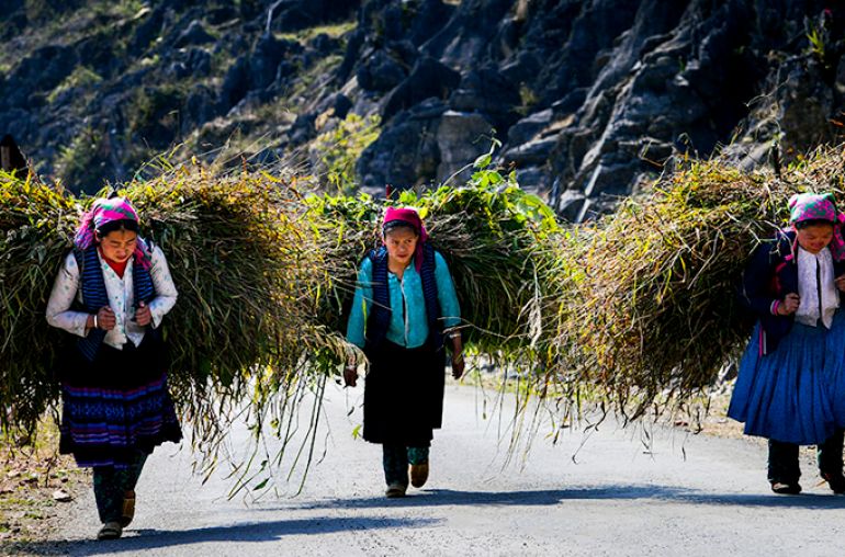 ha-giang-05