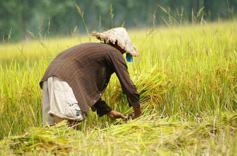 Farmers-in-Cu-Da-Village-4