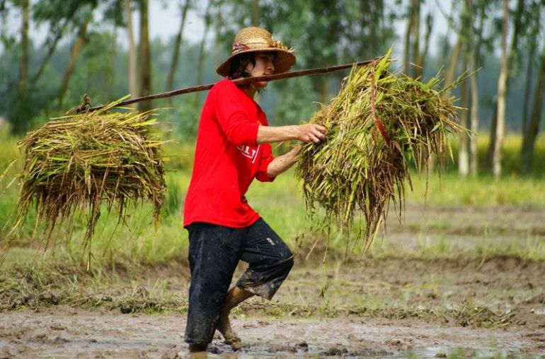 Farmers-in-Cu-Da-Village