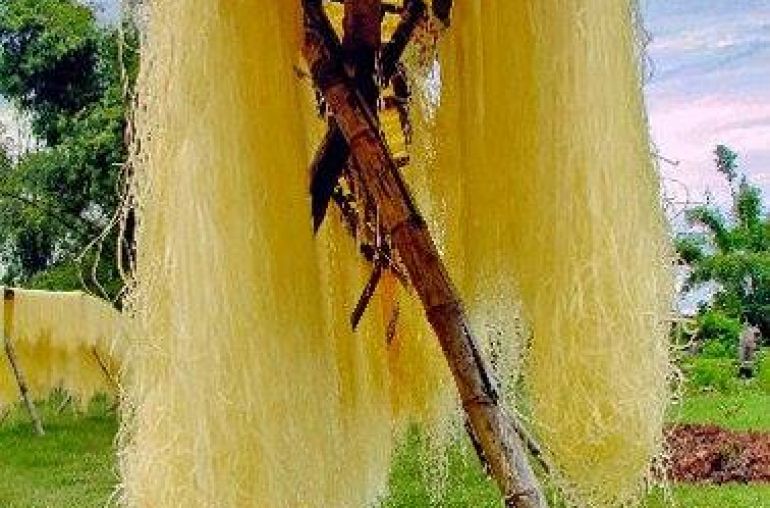 Making-Vermicili-1