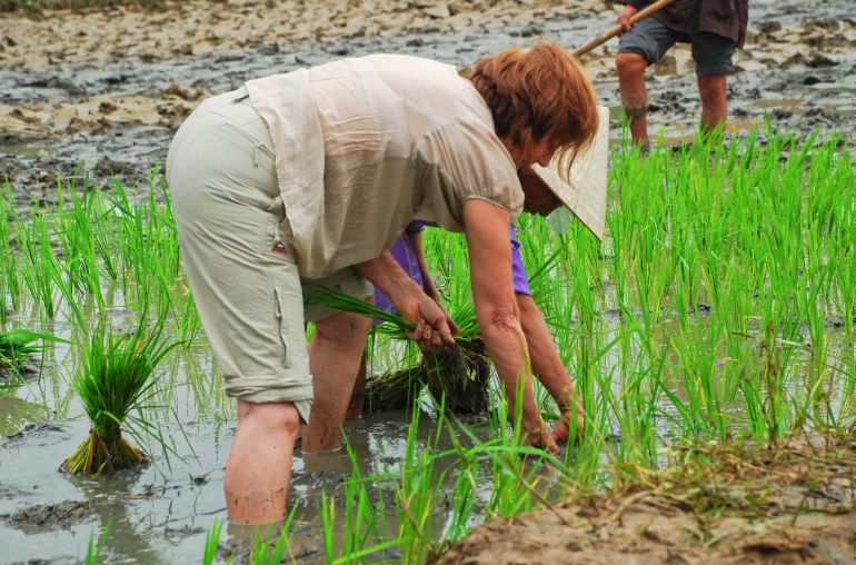 Trying-to-be-a-farmer-1