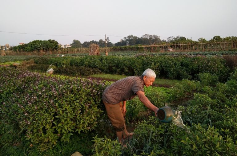 farm-tour-with-local
