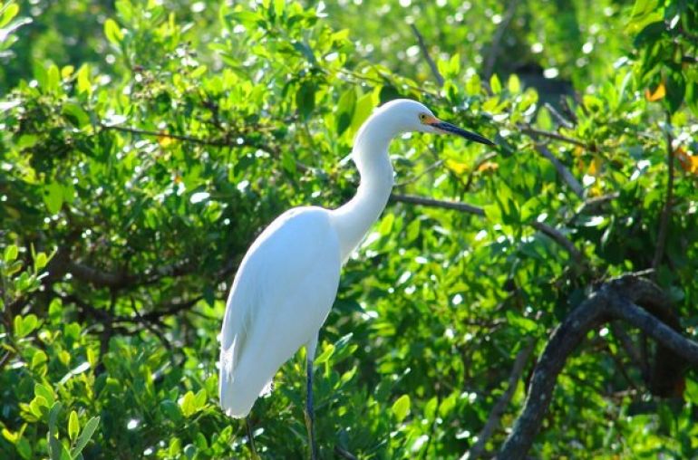 Thung-Nham-Bird-Watching-1