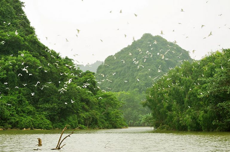 Thung-Nham-Bird-Watching-2