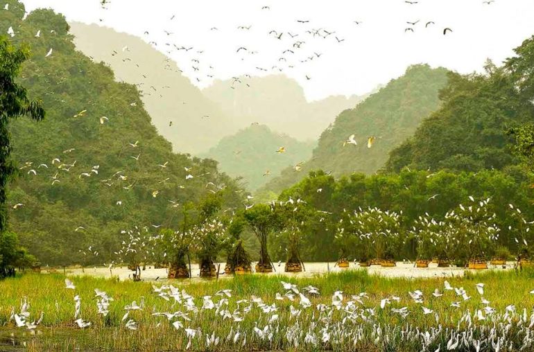 Thung-Nham