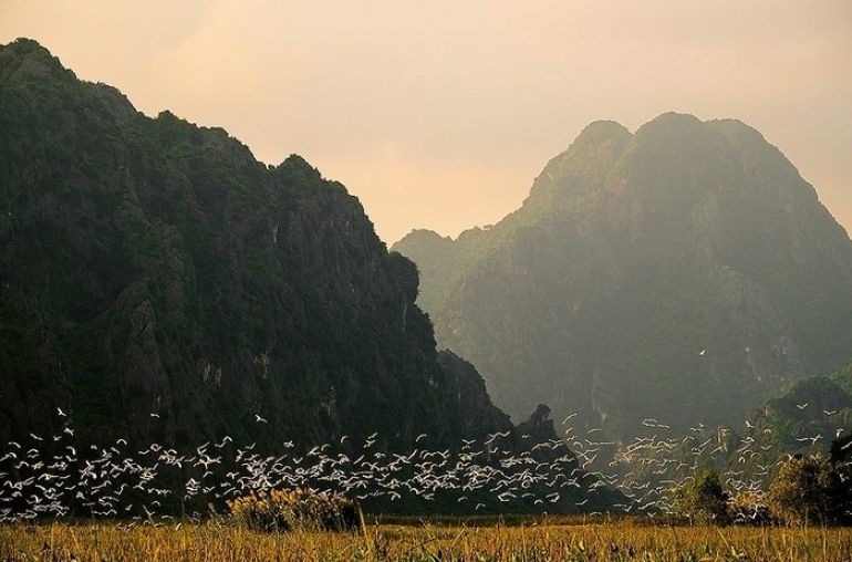 Du-lich-dam-van-long-ninh-binh-mytour-10