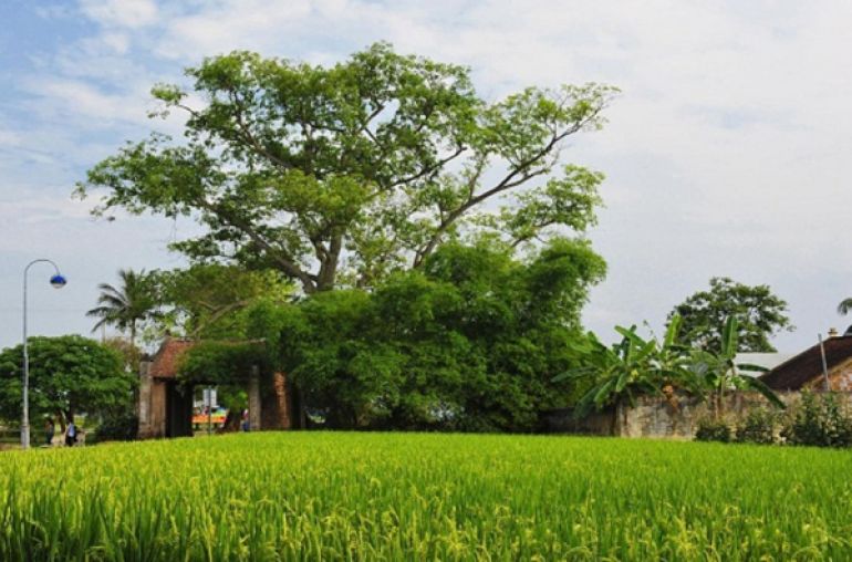Duong Lam Ancient Village And Van Phuc Silk Village