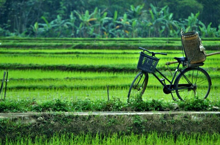MộtNgàyởMaiChâu