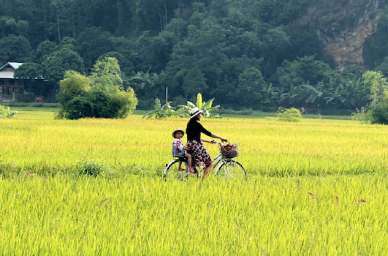 Mai-Hich-2