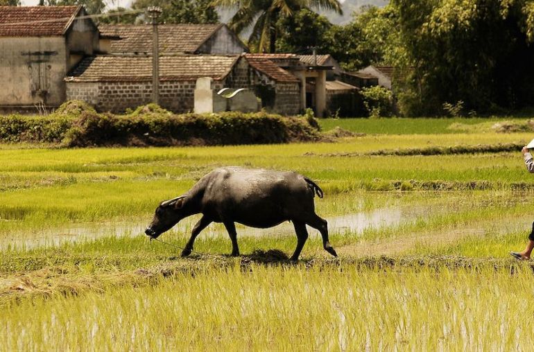 Mai-Hich-Local-People-1