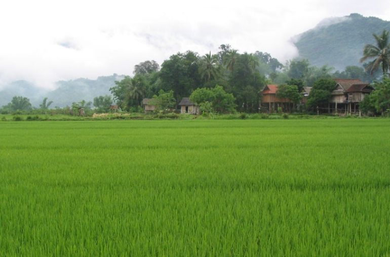 Pom-Coong-Village-5