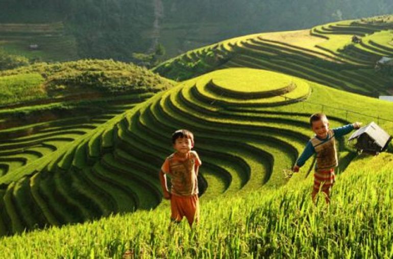 mu-cang-chai-06-500x300