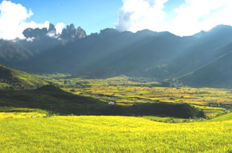 Ta Giang Phinh