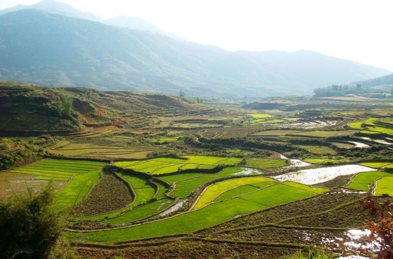 Ta Giang Phinh