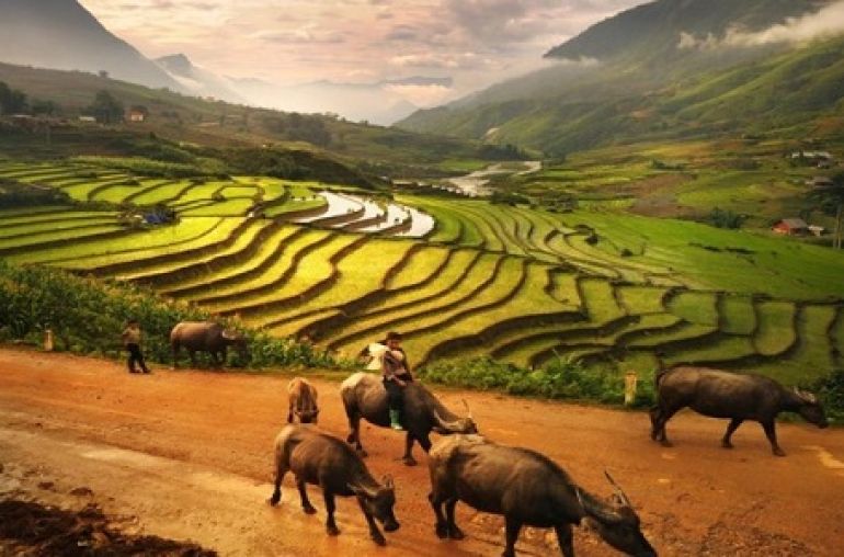 Sin-Chai-village