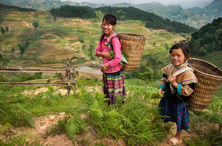 Sapa 