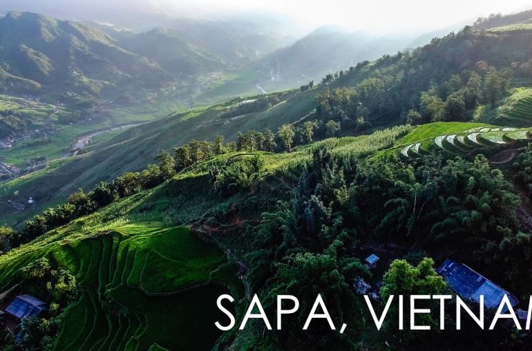 Sapa