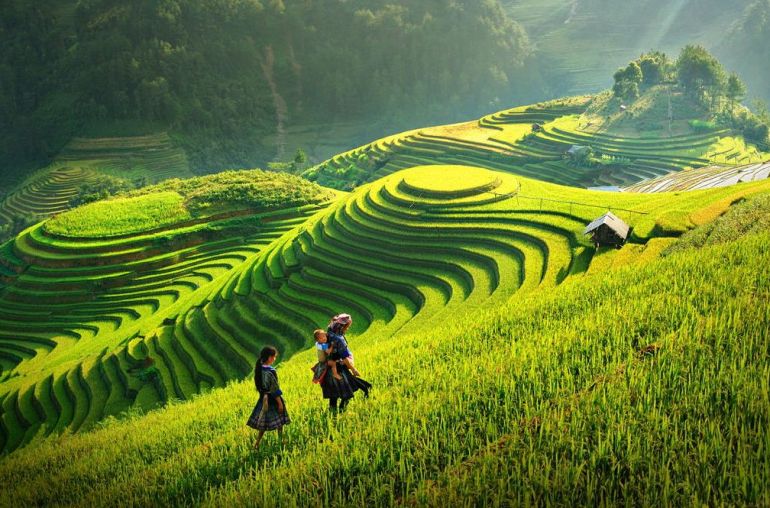 sapa-trekking-trek-sapa-trek-43