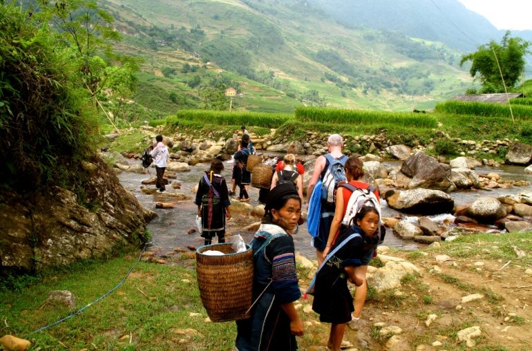 Sapa