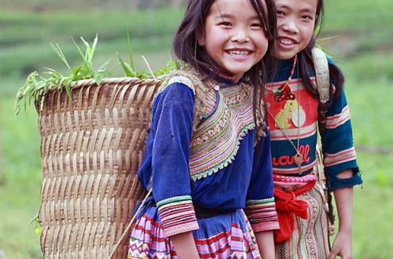 Sapa