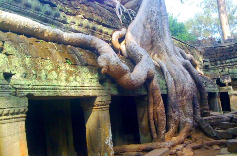 cambodia_ta_prohm