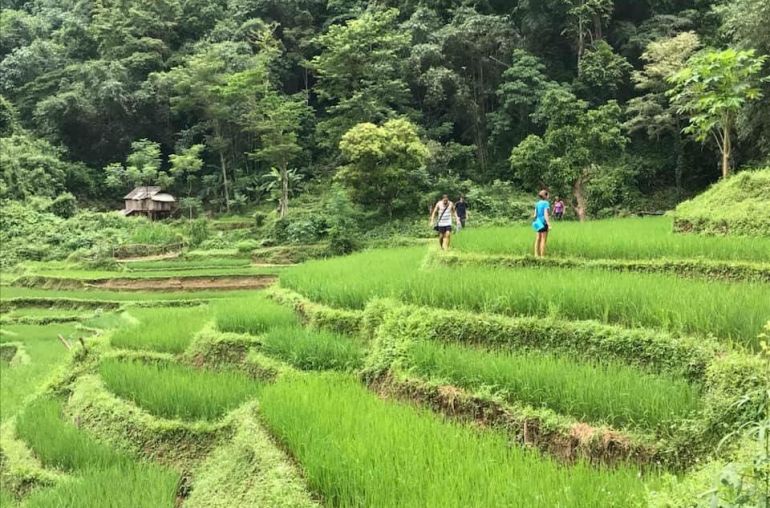Trekking