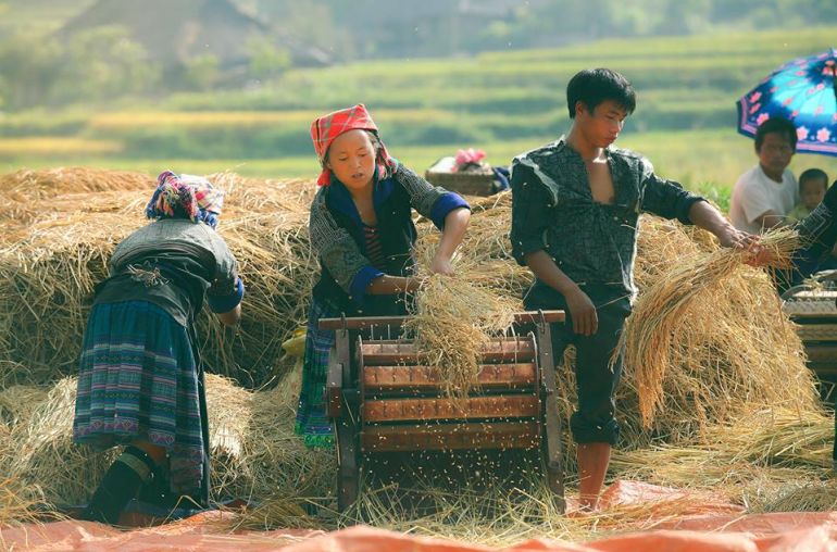 Farmers