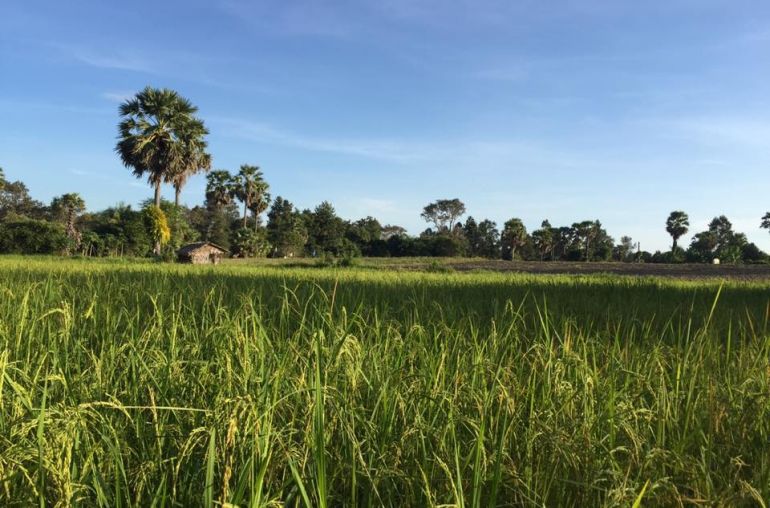 Cambodia-Cycling-3