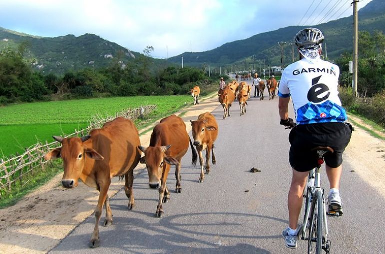 Cycling-tour