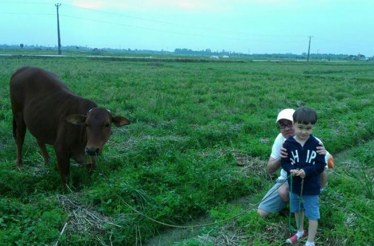 Buffalo