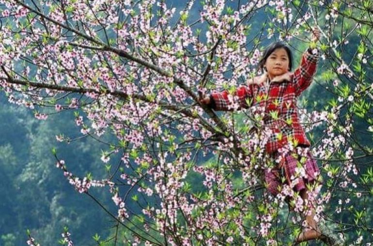 Children-in-Mu-Cang-Chai-3