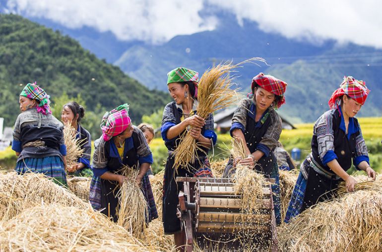 Mu-Cang-Chai-9
