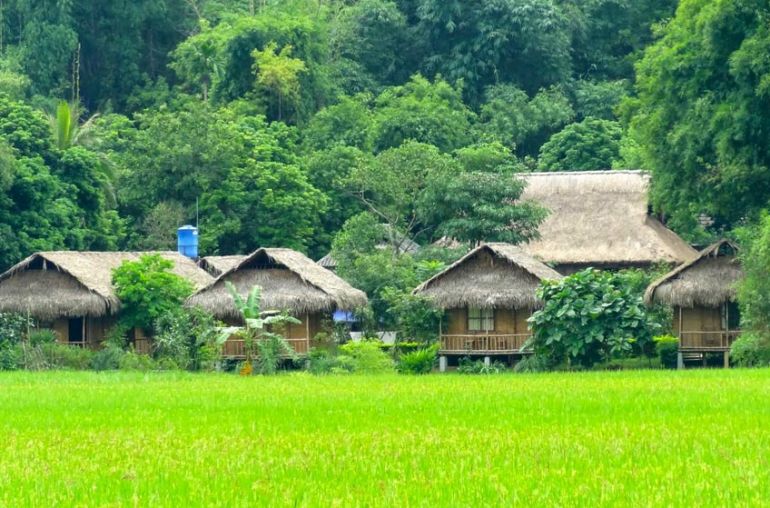 hoa-binh-1