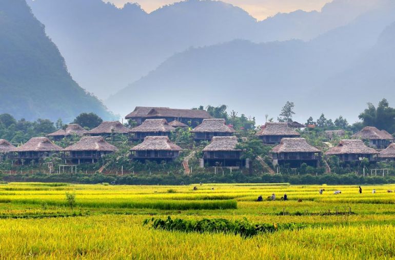 hoa-binh-2