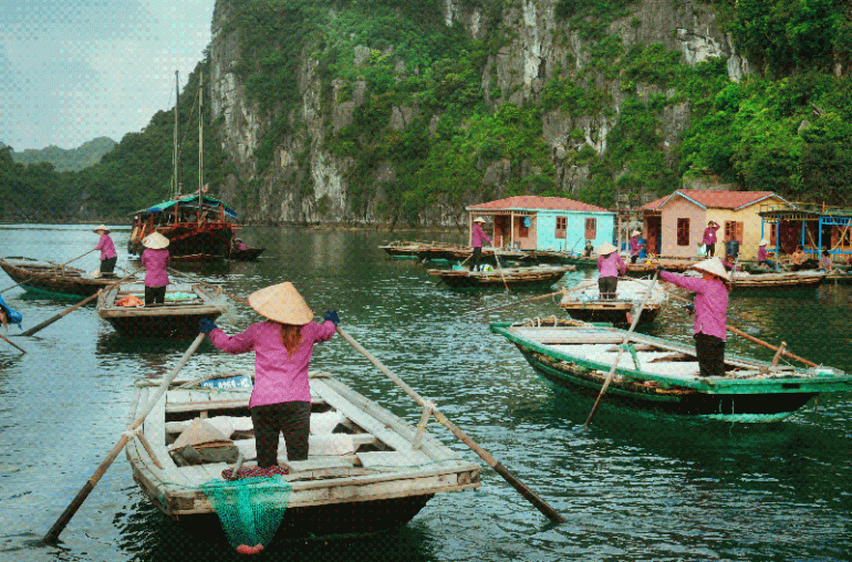 Floating village tour