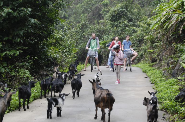 Biking in Cat Ba island